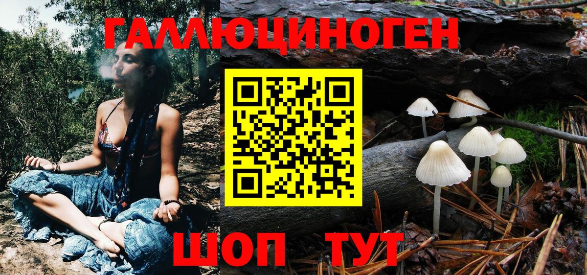 Кимры  Галлюциногенные грибы MAGIC MUSHROOMS  Вход с VPN 